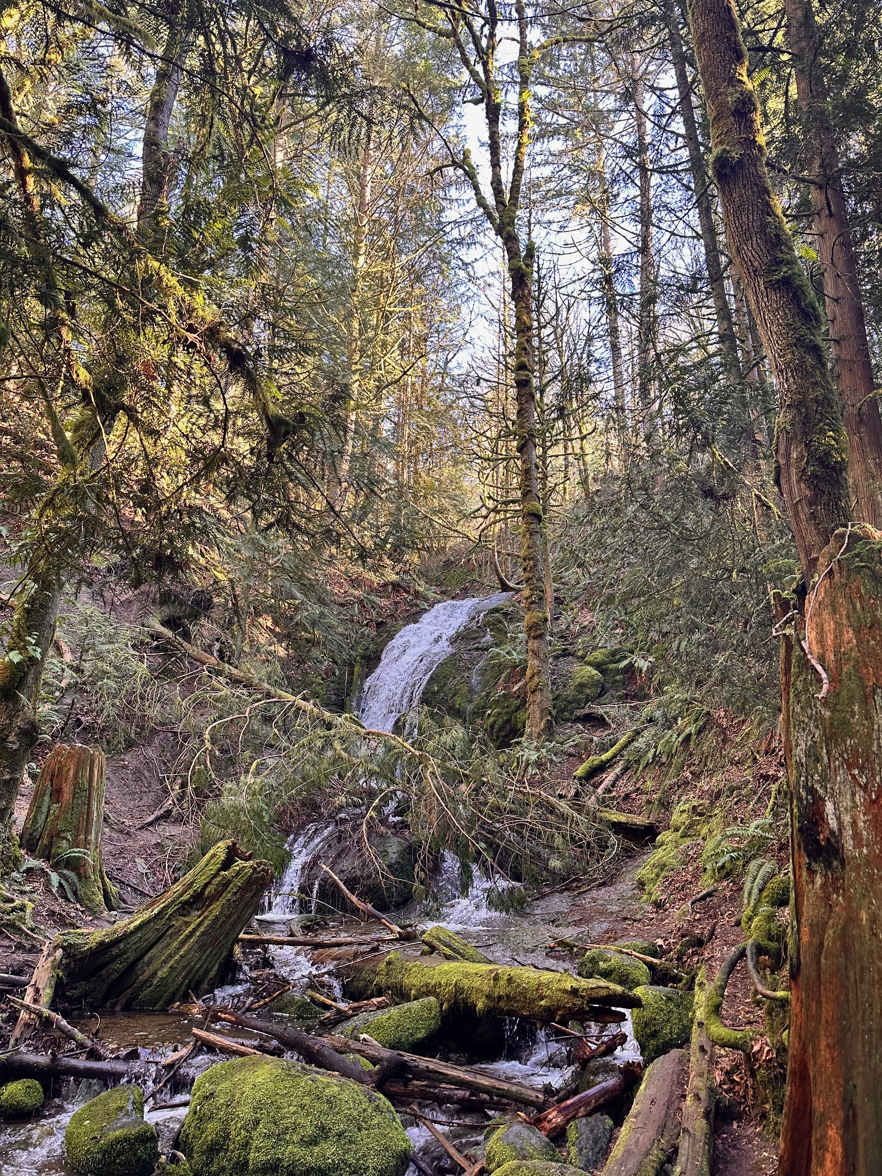 waterfall