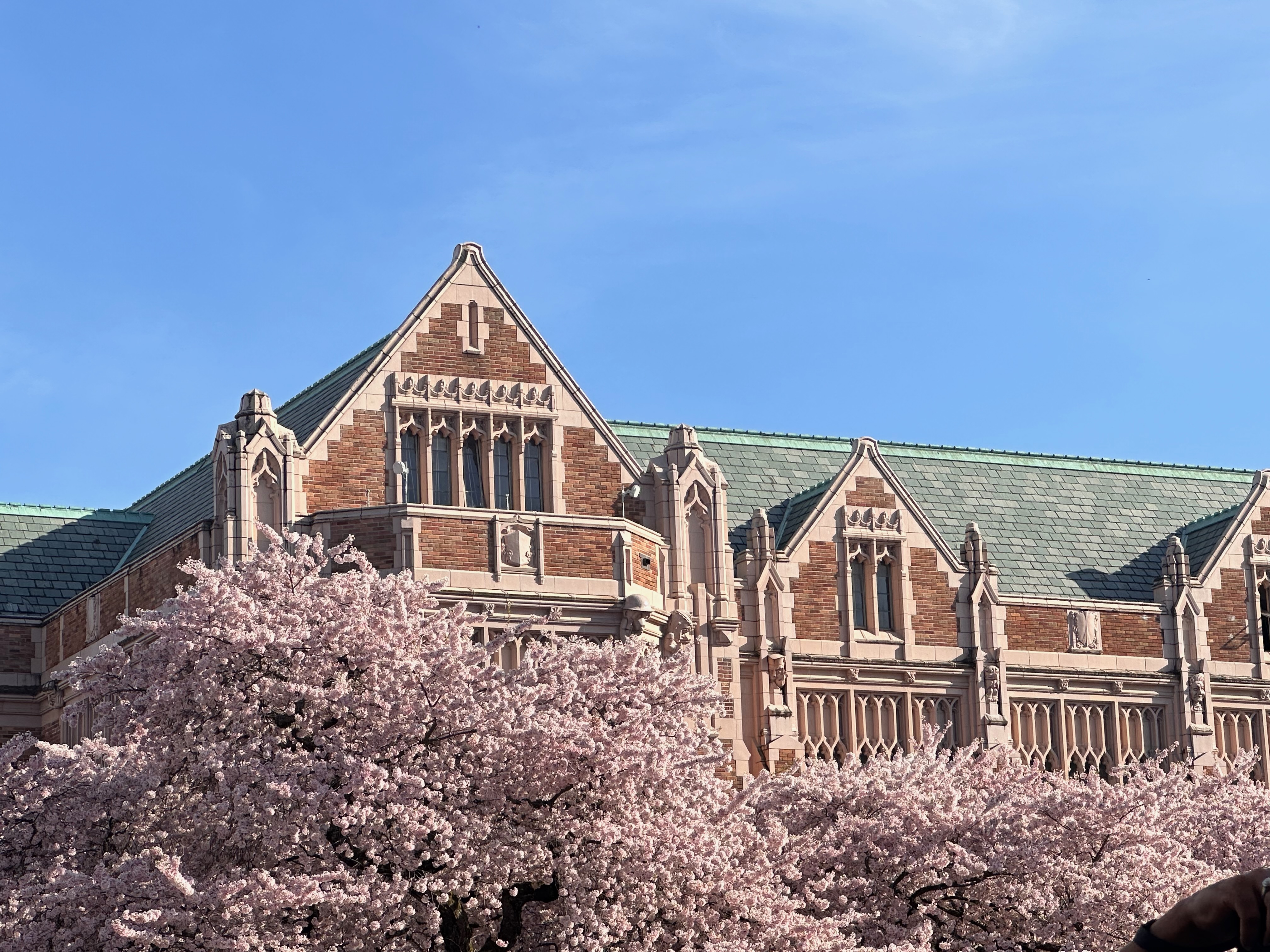 uw_quads